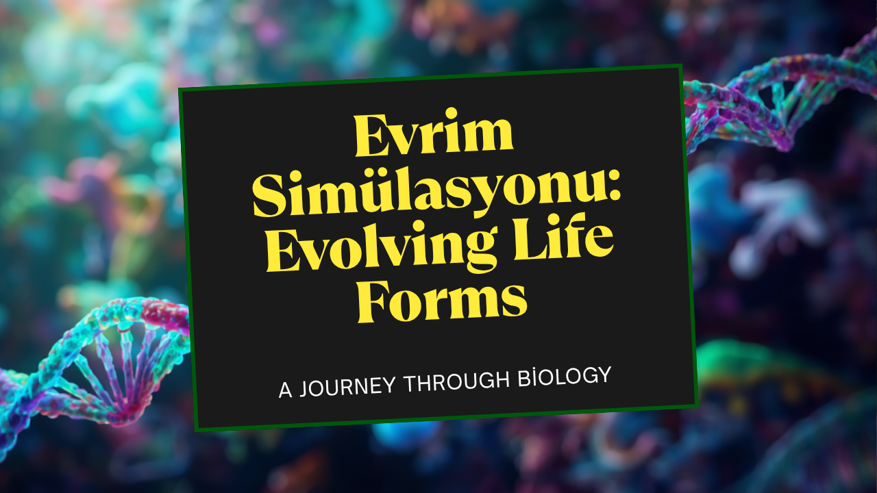 Evrim Simülasyonu